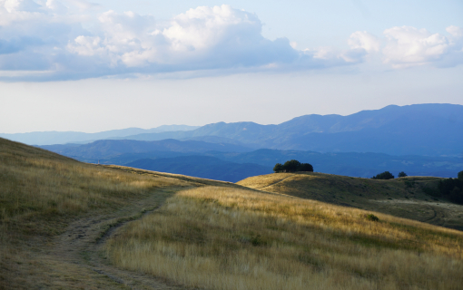 Alla scoperta del Valdarno