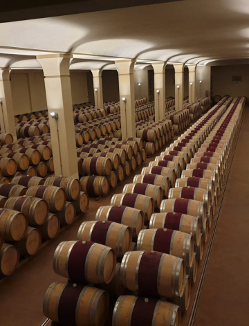 Degustare il vino, alcune regole importanti