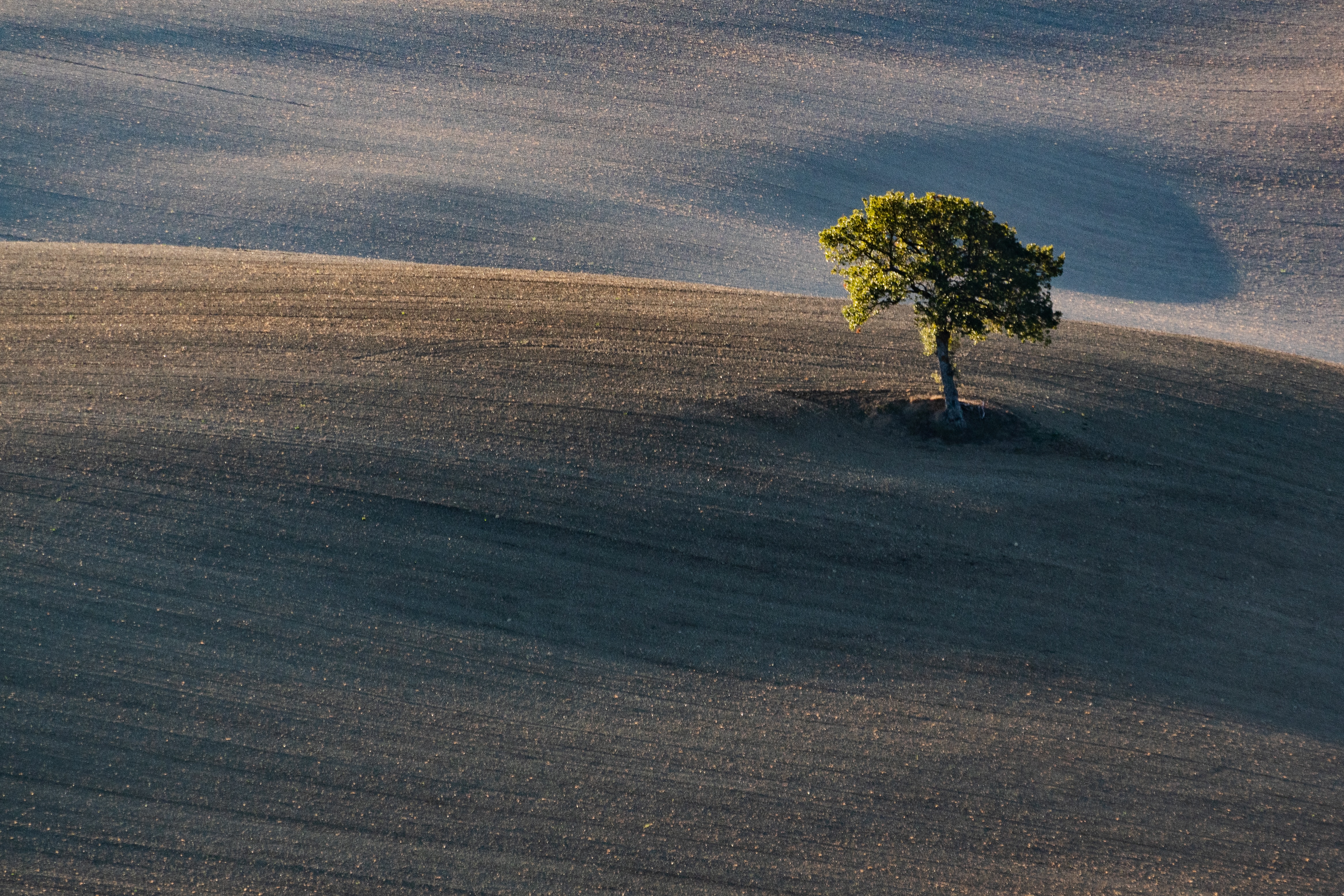 visitare Montepulciano in Toscana con tour privato e degustazione vini