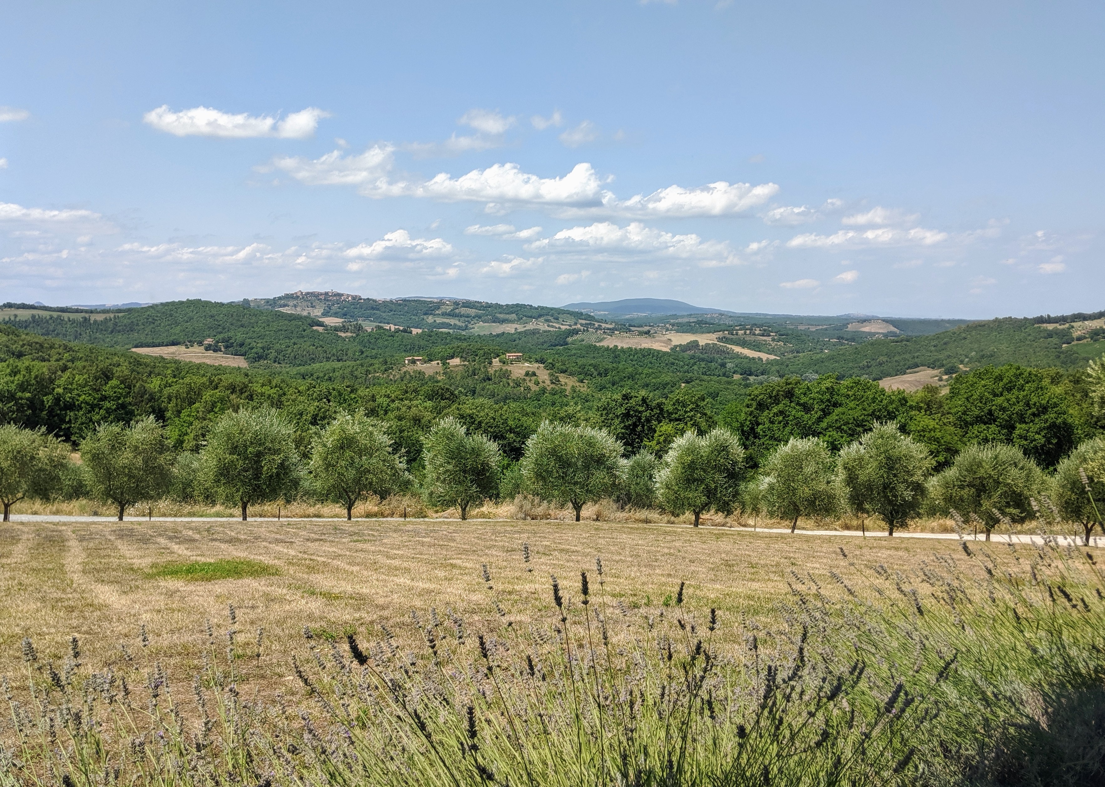 Trekking in cammino sui sentieri della Toscana in Italia 