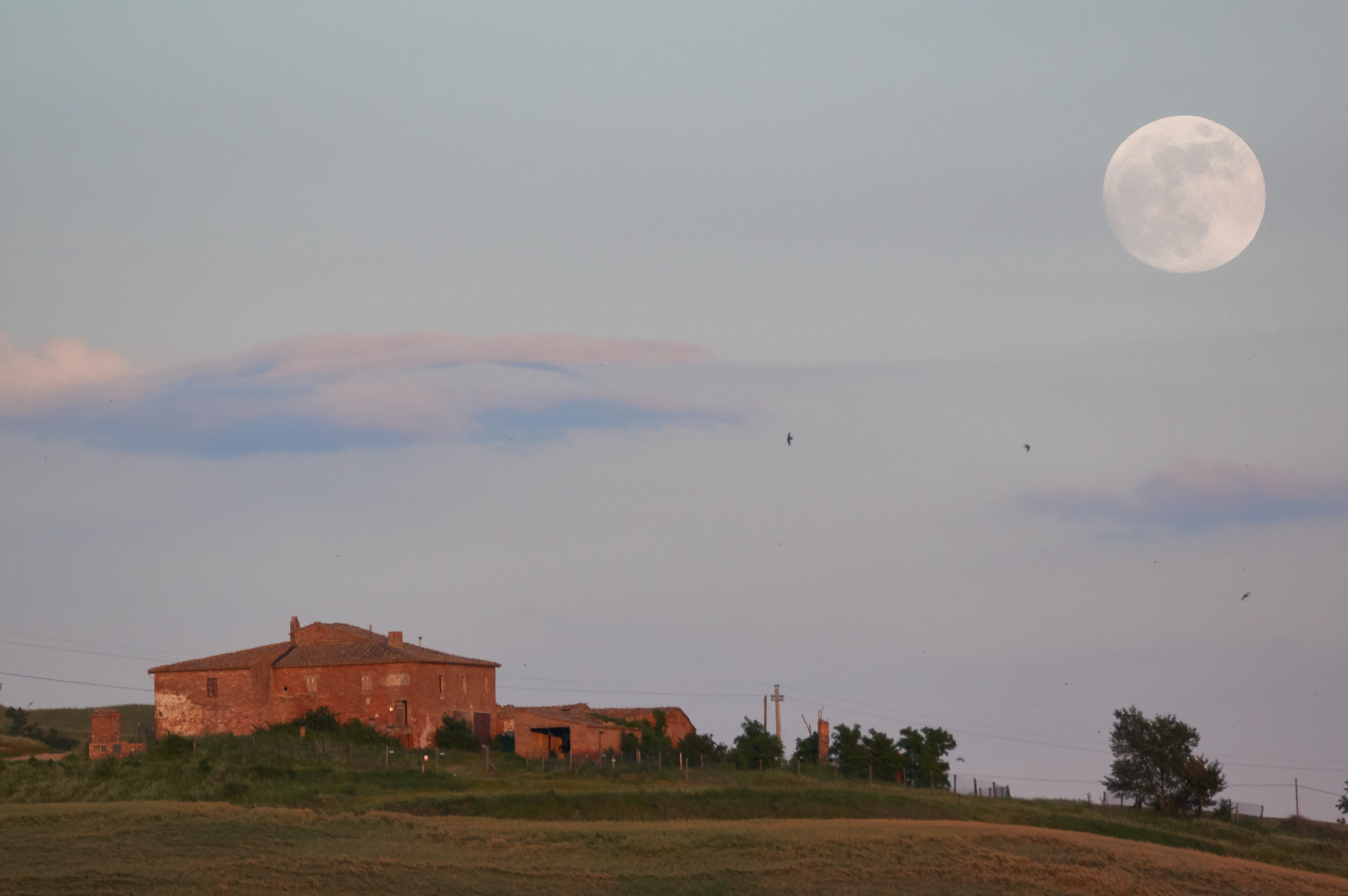 Italia Toscana Tuscany Tours Asciano Site Transitoire