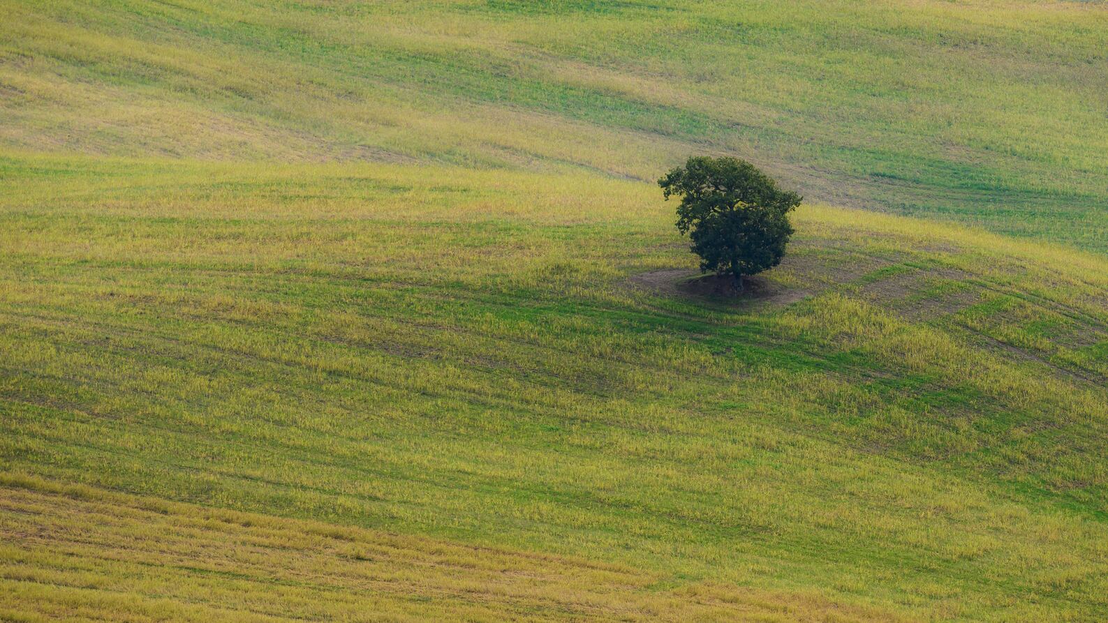 Viaggiare in Toscana terra dell'anima
