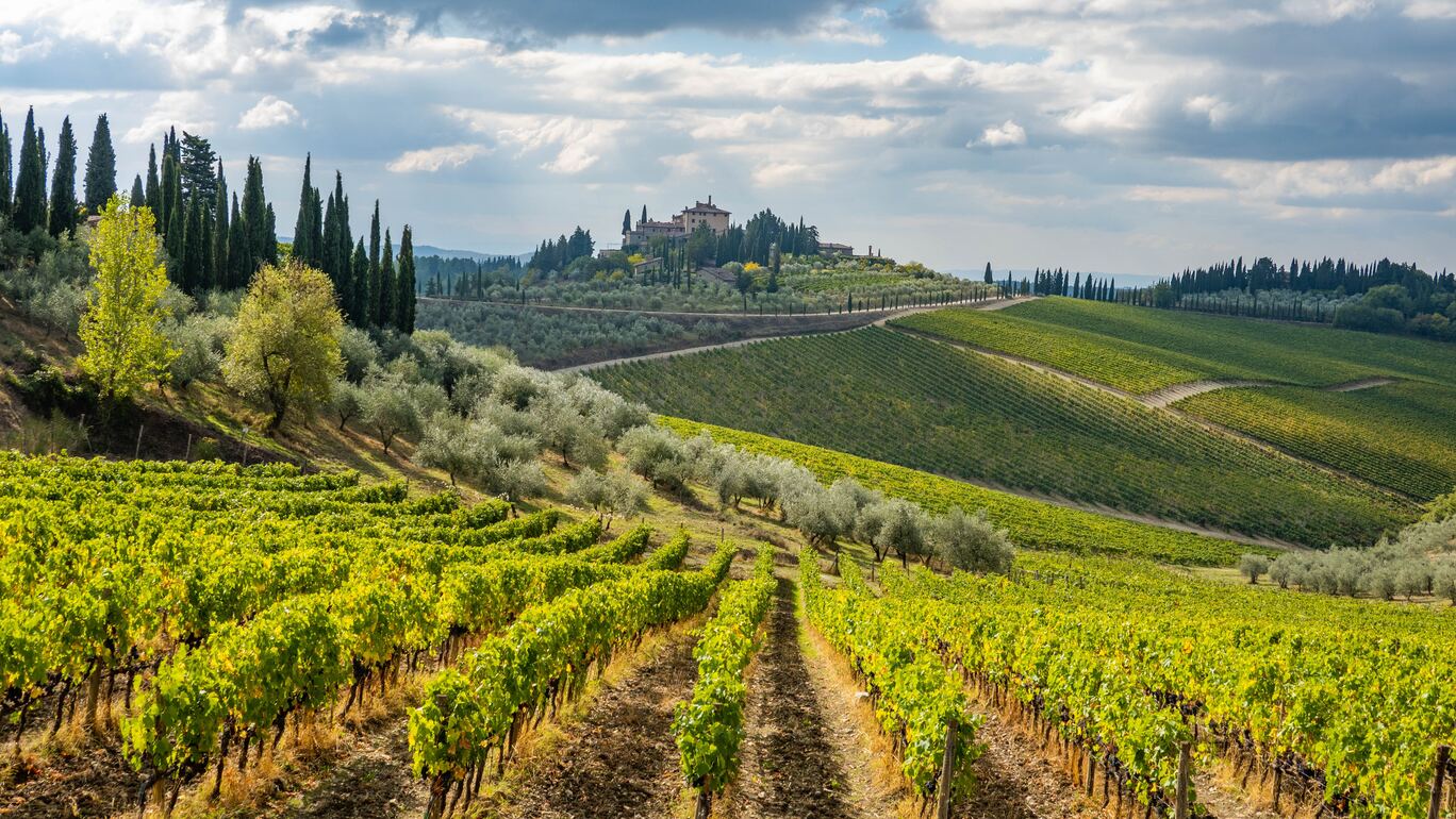 Esperienze in Toscana turismo e tours in Italia Chianti 